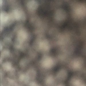 Meet your Posher, Lili